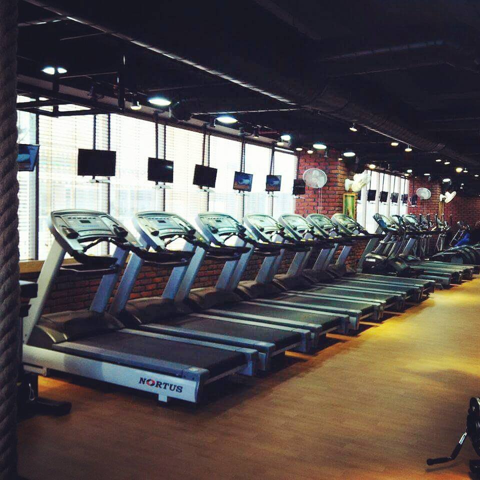 Commercial Treadmills for Gyms