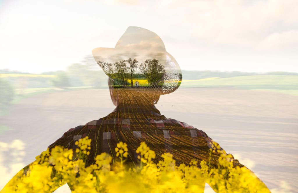 Double exposure of farmer wearing hat looking at mustard oil seed field