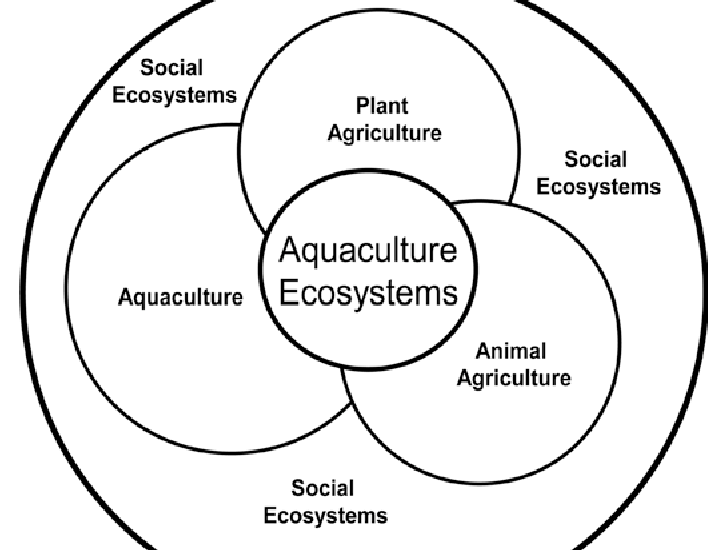 Varun Thapar - Ecological